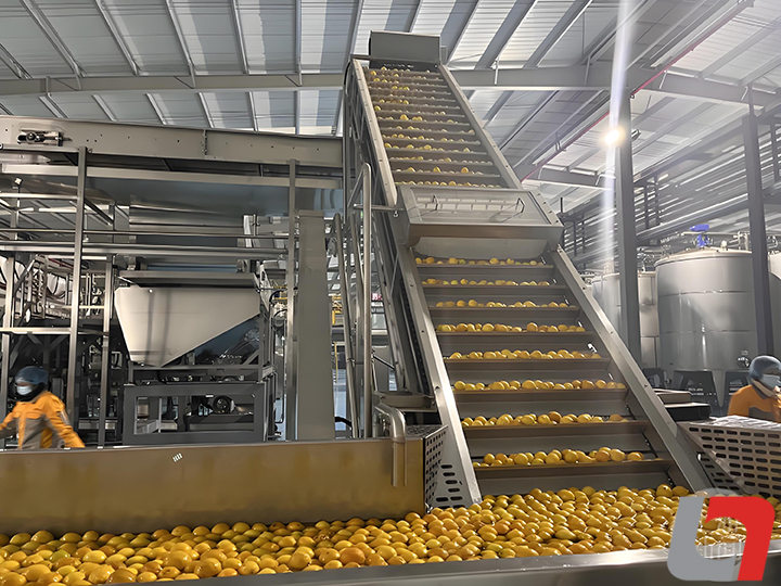 龍應果汁生產(chǎn)線設備多少錢 龍應果汁生產(chǎn)線設備多少錢