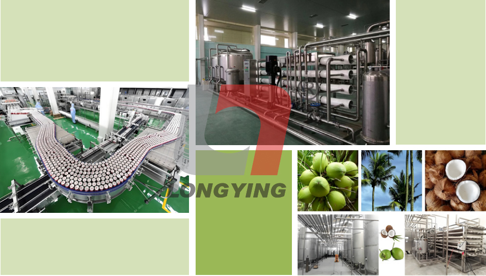龍應(yīng)椰汁生產(chǎn)線生產(chǎn)工藝 龍應(yīng)椰汁生產(chǎn)線生產(chǎn)工藝
