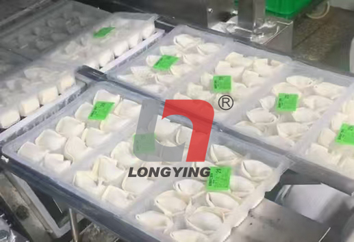 龍應(yīng)盒裝餃子餛飩?cè)詣臃饪跈C